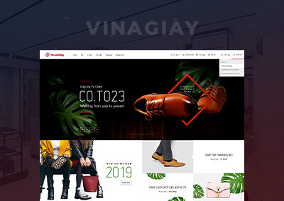 Xây dựng website thương mại điện tử Vinagiay